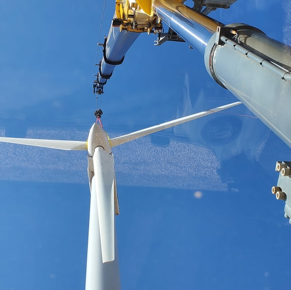 Meet your Posher, David - Picture 1 of 1